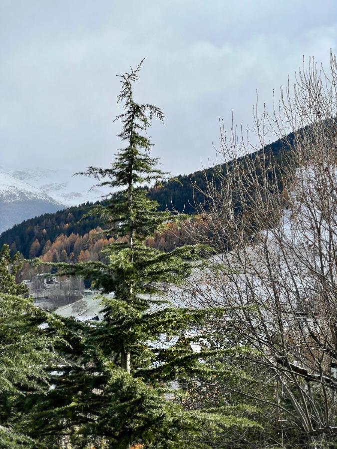 Il Pettirosso - Casa Vacanze Bormio Bagian luar foto